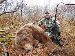 The alaska peninsula brown bear is a subspecies of brown bear that lives in the coastal regions of southern alaska. Alaska Peninsula Brown Bear Alaska Big Game Hunting Bear Hunting Moose Hunting Dall Sheep Hunting Alaskan Perimeter Expeditions