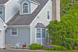 A simple 4 picture frame was selected for the trim on the rear windows. Design Ideas Photo Showcase Exterior House Siding House Siding Facade House
