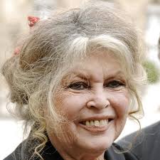 An unofficial fansite about the most beautiful woman. 60 Jahre Spater Krass So Sieht Brigitte Bardot Heute Aus Cosmopolitan