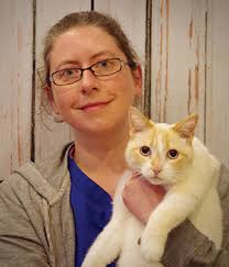 Our Veterinary Health Care Team in Petoskey