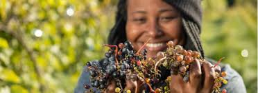 This Week's Latest Wine Headlines: April 2—April 9