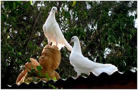 Top 15 Protection Stones For Empaths Spiritual Meaning 10 Interesting Facts Spirituality