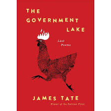 The Government Lake Hardcover Walmart Com In 2020 Book Cover Design Book Design Graphic Design Illustration
