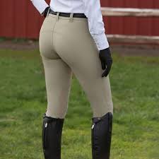 Shop Hampshire Breech Toklat Equestrian Equipment