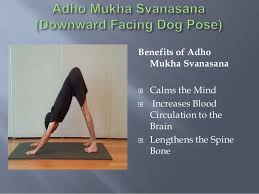 Check spelling or type a new query. Hatha Yoga Poses Asana And Their Benefits