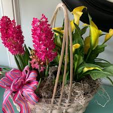 Jun 14, 2021 · joyce ann maciver, 63, of parkersburg, wv, passed away friday, june 11, 2021 at her residence following an extended illness. The Irish Rose Florist Home Facebook
