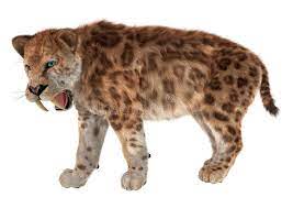 Black panther marvel coloring pages. Smilodon Cat Photos Free Royalty Free Stock Photos From Dreamstime