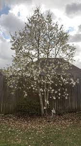 The hard work pays off 👍🏼🇺🇸😎🇺🇸