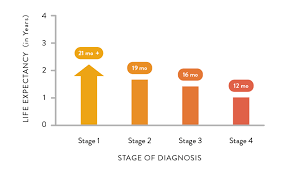 Mesothelioma Causes Risk Factors Mesothelioma Cancer