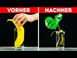 Pin Auf 5 Minuten Tricks