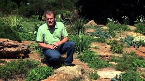 Creating several tiers on a sloped property can help manage erosion and give you the opportunity to layer different if you choose to let vegetation cover your sloping property in glorious abandon, impose a. Plants For Slopes Youtube