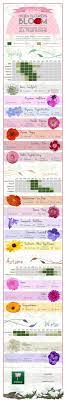 But, there are a few things to know about how to design a flowerbed for maximum impact. You Can Have A Colourful Garden With Flowers Blooming All Year Round Just Use Our Simple Guide Garden Care Spring Garden Flowers Garden Planning