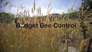 Black diamond has been offering quality pest control services for the louisville, ky and southern in. Budget Bee Control Houston 77079 Texas Estados Unidos