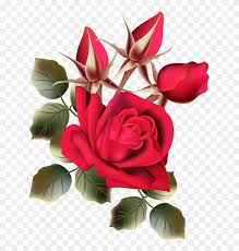 Download the rose, flowers png on freepngimg for free. Ceae5a46 Rose Flower Images Free Download Hd Free Transparent Png Clipart Images Download