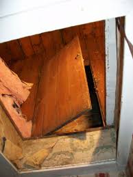 And at that point hiding the vault will be impossible. Secret Room Discovered Under House Turns Out To Be Part Of American History History 101