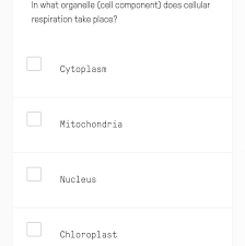 The first produces lactic acid and the second produces ethanol and co2. In What Organelle Cell Component Does Cellular Respiration Take Place Brainly Com