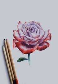 Enfer Dessin Rose Comment Dessiner Une Rose Dessin De Roses