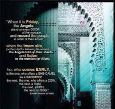 Camels store fat in the hump, not water. 46 Jummah Ideas Islamic Quotes Islam Its Friday Quotes
