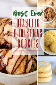I always make sure healthy options are present during a christmas feast. Diabetic Christmas Cookies Walking On Sunshine Recipes