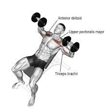 Incline Dumbbell Press Exercises Workouts Sam S Fitness