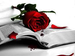Check spelling or type a new query. Fericire Inima Speranta Home Facebook