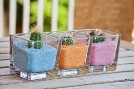 Cactus Pots And Containers Which Ones Are The Best Terrarium Planting Guide
