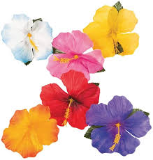 Beach theme wedding bouquets hibiscus. Amazon Com Hibiscus Flowers For Tabletop Decoration 24 Toys Games