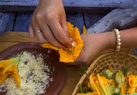 Maybe you would like to learn more about one of these? How To Pick Zucchini Flowers