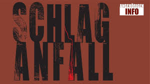 Schlaganfall Leitfaden Fur Angehorige