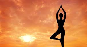Our online physical fitness trivia quizzes can be adapted to suit your requirements for taking some of the top physical fitness quizzes. Which Of The Following Does The Word Trivia Questions Quizzclub