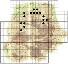 Image result for Nuxia oppositifolia