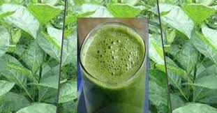 Bitterleaf and Bitterleaf Juice