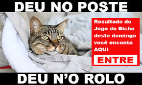 Veja todos os resultados do jogo do bicho da bahia paratodos online de hoje (20/07/2020) 10:00hs, 12hs, 15hs, 19hs e das 21 horas. Resultado Do Jogo Do Bicho Bahia 12hs