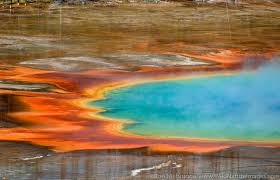 Yellowstone's five entrance gates make it accessible from all directions. Yellowstone National Park Photos Ron Niebrugge Photography