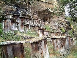 Ruches Sauvages Et Domestiques Cevennes Beau Paysage Ruche