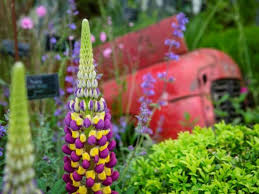 Maybe you would like to learn more about one of these? Bloom 2021 Ireland S Largest Gardening Festival