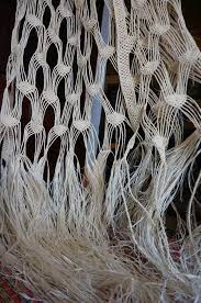 QUY TRÌNH LÀM VÕNG NGÔ ĐỒNG: 1. Đốn cây: Cây ngô đồng phổ biến ở các triền núi gần bãi biển, trong rừng của Rừng Xóm Cấm, Rừng Bãi Làng, Rừng Bãi