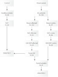 Flow Chart Of The Collected Nipple Fluid Samples That Have
