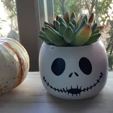 Image result for Sedum ruwenzoriense