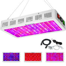 Check spelling or type a new query. 7 Best Grow Lights For Indoor Plants 2021 Led Fluorescent