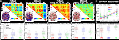 Potential consciousness in the animal kingdom. Human Consciousness Is Supported By Dynamic Complex Patterns Of Brain Signal Coordination Science Advances