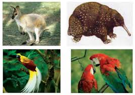 Gunung ini terletak di eropa pada bagian barat. Fauna Tipe Asiatis Fauna Tipe Peralihan Dan Fauna Tipe Australis Juragan Les