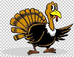 Owl thanksgiving cuisine of the united states turkey , thanksgiving turkey, orange and brown owls illustration png clipart. Plymouth Rock Thanksgiving Turkey Cartoon Png Clipart Beak Bird Cartoon Chicken Fauna Free Png Download