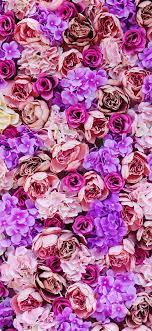 Pink And Purple Petaled Flower Iphone 12 Wallpapers Free Download