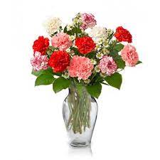 Bunch Of 12 Mix Color Carnations With A Vase Flowers Delivery Online To Australia Anniversary Flowers Flowers Australia Birthday Flower Delivery
