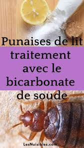 punaises de lit traitement naturel punaises de lit puce de lit traitement maigrir bicarbonate de soude