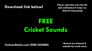 We've also close up single cricket sounds too. Free Crickets Sound Effects Mp3 Download Fstudios