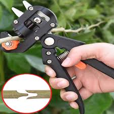Fruit crops to propagate for free: Free Shipping Grafting Scissors Professional Garden Fruit Tree Pruning Shears Grafter Cutting Tool Cloth Bag Combo Grafting Cutting Tool Grafted Scissorsfruit Tree Pruning Aliexpress