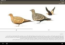 هل تقف إسرائيل وراء الهجوم على المنشأة. Ø¯Ù„ÙŠÙ„ Ø§Ù„Ø·ÙŠÙˆØ± ÙÙŠ Ø§Ù„Ø´Ø±Ù‚ Ø§Ù„Ø£ÙˆØ³Ø· For Android Apk Download