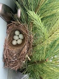 Maybe you would like to learn more about one of these? Why There Is A Christmas Wreath On My Door In April Miss Mustard Seed